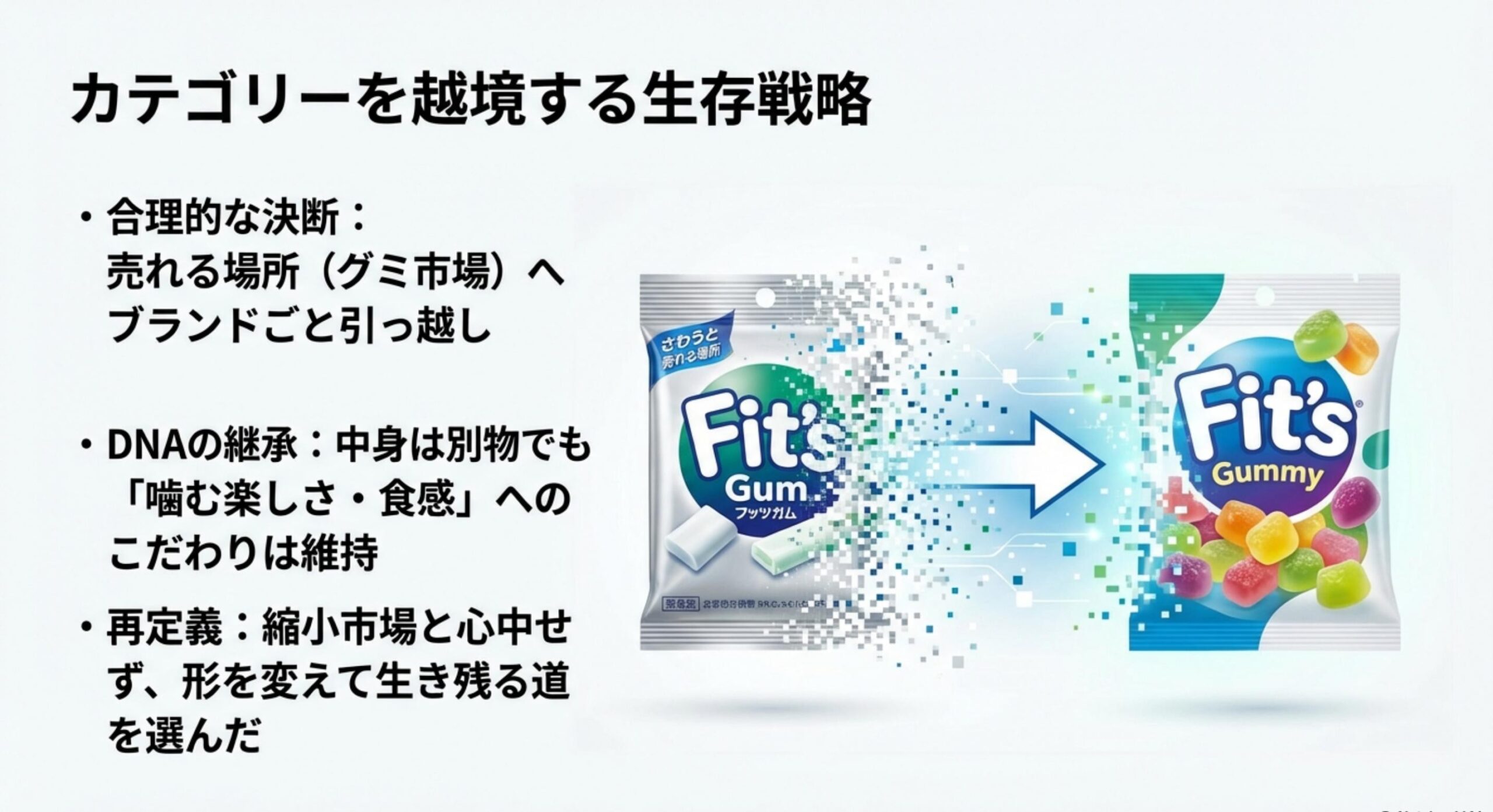 フィッツガム販売終了後の新たな選択