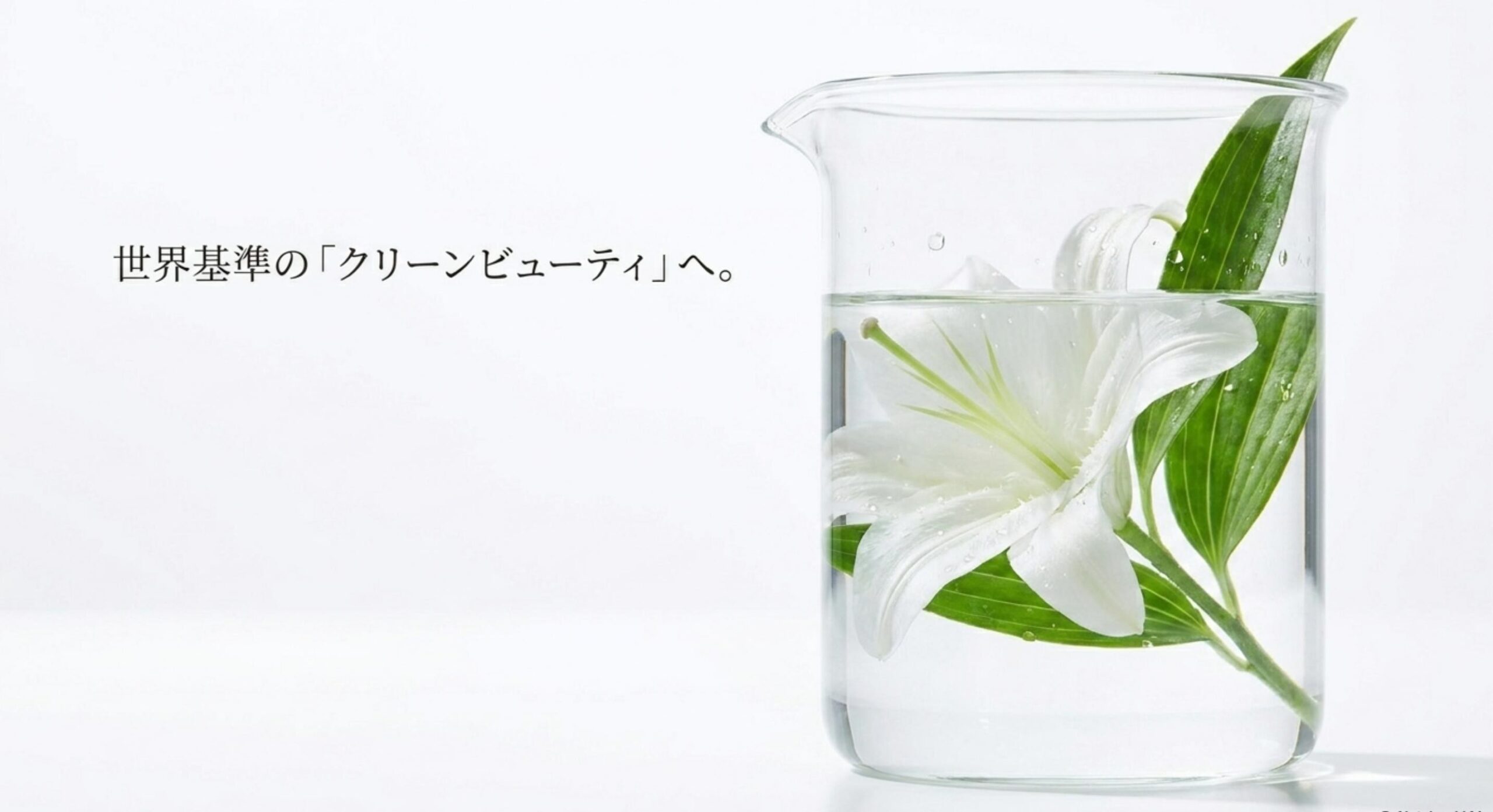 shiro 練り香水 販売終了 なぜ 国際的な香料法規制に伴うクリーンビューティ処方への移行